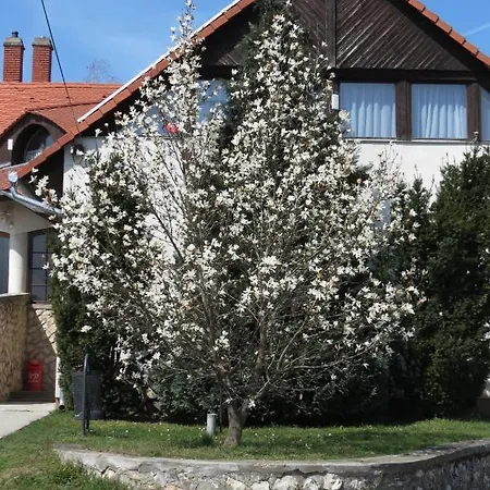 Appartement Titi House à Bakonykoppány Extérieur photo