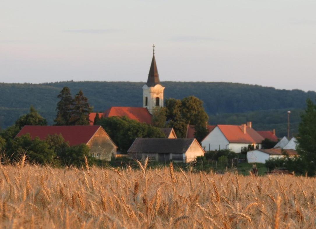 Titi House * Bakonykoppány