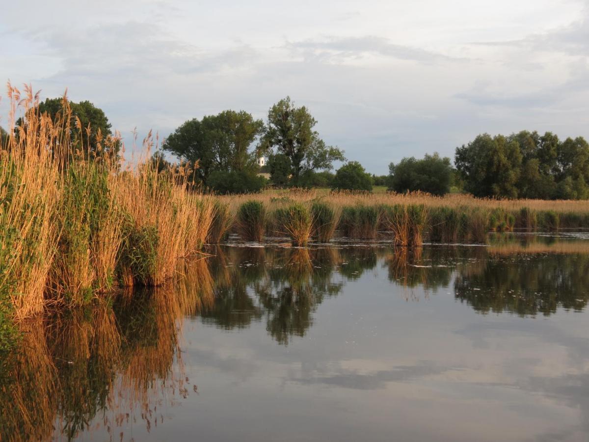 Titi House Bakonykoppány
