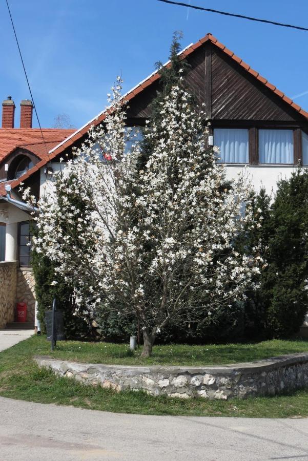 Titi House Appartement *