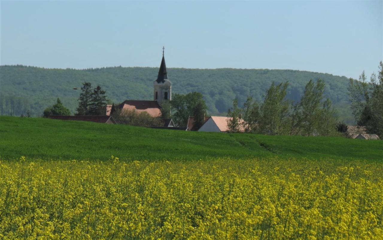 Titi House Bakonykoppány