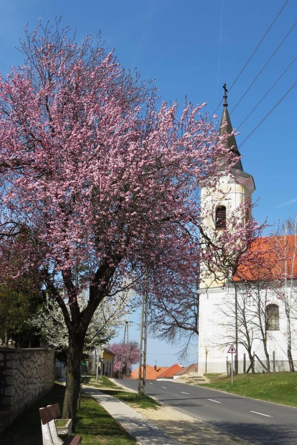 Titi House Bakonykoppány